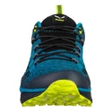 Herren-Outdoorschuhe Salewa  MS Dropline