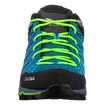 Herren-Outdoorschuhe Salewa  MS MTN Trainer Lite