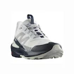 Herren-Outdoorschuhe Salomon  ELIXIR ACTIV Glacier Gray/Carbon/Slate Green
