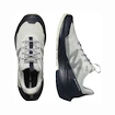 Herren-Outdoorschuhe Salomon  ELIXIR ACTIV Glacier Gray/Carbon/Slate Green