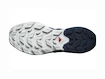 Herren-Outdoorschuhe Salomon  ELIXIR ACTIV Glacier Gray/Carbon/Slate Green