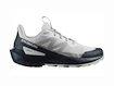 Herren-Outdoorschuhe Salomon  ELIXIR ACTIV Glacier Gray/Carbon/Slate Green