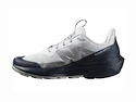 Herren-Outdoorschuhe Salomon ELIXIR ACTIV Glacier Gray/Carbon/Slate Green