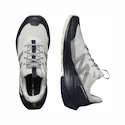 Herren-Outdoorschuhe Salomon  ELIXIR ACTIV Glacier Gray/Carbon/Slate Green