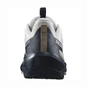 Herren-Outdoorschuhe Salomon ELIXIR ACTIV Glacier Gray/Carbon/Slate Green