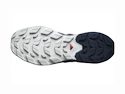 Herren-Outdoorschuhe Salomon  ELIXIR ACTIV Glacier Gray/Carbon/Slate Green