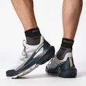 Herren-Outdoorschuhe Salomon  ELIXIR ACTIV Glacier Gray/Carbon/Slate Green