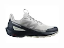 Herren-Outdoorschuhe Salomon  ELIXIR ACTIV Glacier Gray/Carbon/Slate Green
