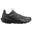 Herren-Outdoorschuhe Salomon Elixir Activ Gore-Tex Phantom/Black/Magnet   UK 8