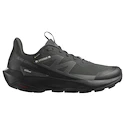Herren-Outdoorschuhe Salomon Elixir Activ Gore-Tex Phantom/Black/Magnet   UK 8