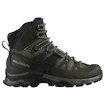 Herren-Outdoorschuhe Salomon Quest 4 Gore-Tex Olive Night/Peat/Safari