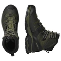 Herren-Outdoorschuhe Salomon Quest 4 Gore-Tex Olive Night/Peat/Safari