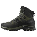 Herren-Outdoorschuhe Salomon Quest 4 Gore-Tex Olive Night/Peat/Safari