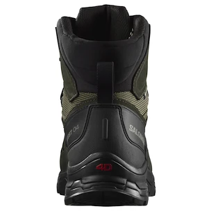 Herren-Outdoorschuhe Salomon Quest 4 Gore-Tex Olive Night/Peat/Safari