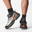 Herren-Outdoorschuhe Salomon  X ULTRA 360 GTX Quiet Shade/Black/Spice Route