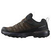Herren-Outdoorschuhe Salomon X Ultra 360 Leather Gore-Tex Dark Earth/Delicioso/Sharkskin