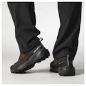 Herren-Outdoorschuhe Salomon X Ultra 360 Leather Gore-Tex Dark Earth/Delicioso/Sharkskin
