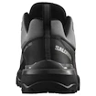 Herren-Outdoorschuhe Salomon X Ultra 360 Magnet/Black/Pewter