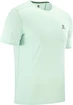 Herren Salomon XA Trail Tee M Hafen Grau