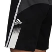 Herren Shorts adidas Aeroready Designed 2 Move Sport Shorts Black