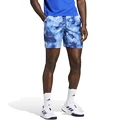 Herren Shorts adidas  Melbourne Ergo Tennis Graphic Shorts Blue