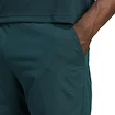Herren Shorts adidas  Tennis Climacool Ergo Shorts Aurora Ivy