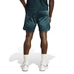 Herren Shorts adidas  Tennis Pro Climacool Ergo Shorts Aurora Ivy