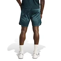 Herren Shorts adidas  Tennis Pro Climacool Ergo Shorts Aurora Ivy