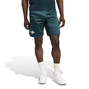 Herren Shorts adidas  Tennis Pro Climacool Ergo Shorts Aurora Ivy