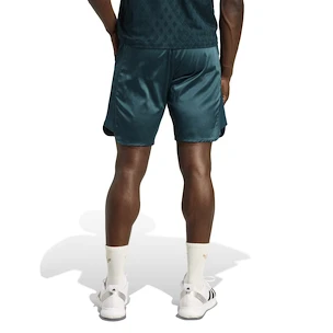 Herren Shorts adidas  Tennis Pro Climacool Ergo Shorts Aurora Ivy