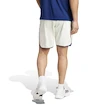 Herren Shorts adidas  Tennis Pro Climacool Ergo Shorts White