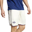 Herren Shorts adidas  Tennis Pro Climacool Ergo Shorts White
