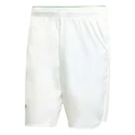 Herren Shorts adidas  Tennis Pro Climacool Ergo Shorts White