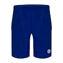 Herren Shorts BIDI BADU  Henry 2.0 Tech Shorts Blue XXL
