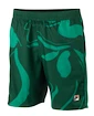 Herren Shorts Fila  Shorts Leo Aventurine/Print