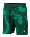 Herren Shorts Fila  Shorts Leo Aventurine/Print M