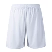 Herren Shorts FZ Forza  Landos M Shorts White