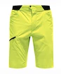 Herren Shorts Haglöfs  L.I.M Fuse Green