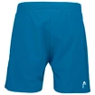 Herren Shorts Head  Power Blue