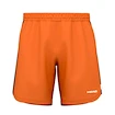 Herren Shorts Head  POWER Shorts Men CN   L