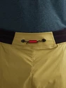 Herren Shorts Klättermusen  Nal Shorts Meadow Green
