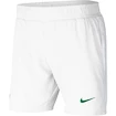 Herren Shorts Nike