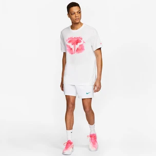 Herren Shorts Nike
