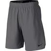 Herren Shorts Nike Flex Woven 2.0 Grey