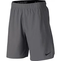 Herren Shorts Nike Flex Woven 2.0 Grey
