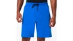 Herren Shorts Oakley  VIGOR ELLIPSE SHORT