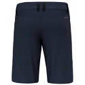 Herren Shorts Salewa  Agner DST M Shorts