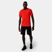 Herren Shorts Salewa  Pedroc 3 DST M Cargo Shorts