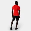 Herren Shorts Salewa  Pedroc 3 DST M Cargo Shorts