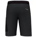 Herren Shorts Salewa  Pedroc 3 DST M Cargo Shorts